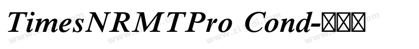 TimesNRMTPro Cond字体转换